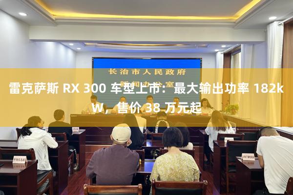 雷克萨斯 RX 300 车型上市：最大输出功率 182kW，售价 38 万元起