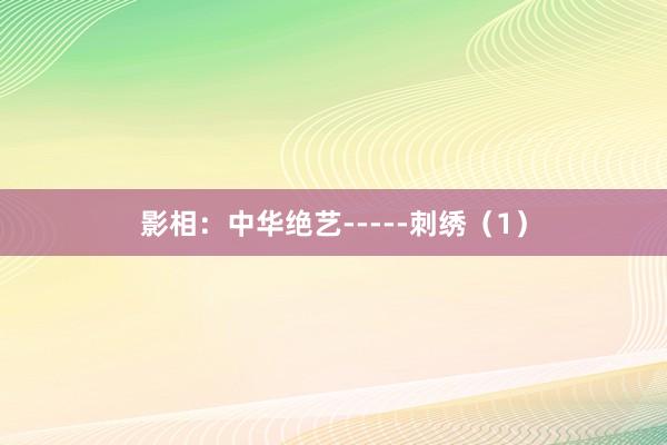 影相：中华绝艺-----刺绣（1）