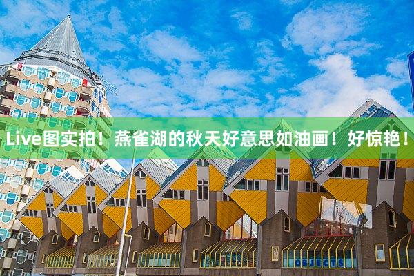 Live图实拍!燕雀湖的秋天好意思如油画!好惊艳!