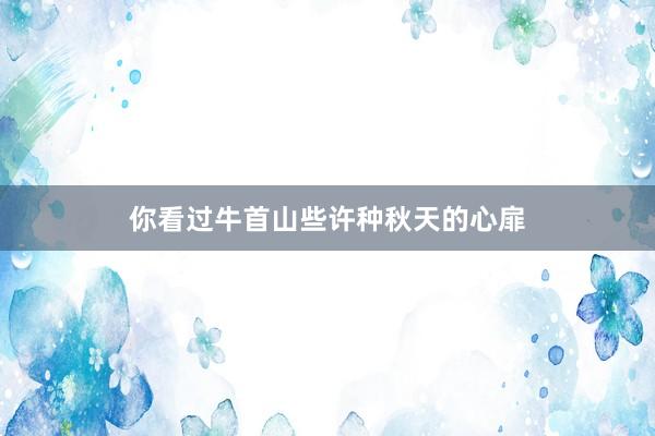 你看过牛首山些许种秋天的心扉