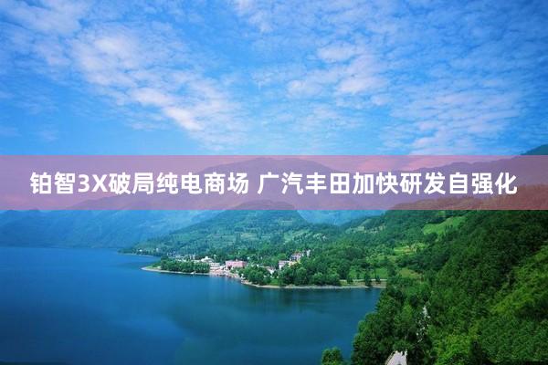 铂智3X破局纯电商场 广汽丰田加快研发自强化