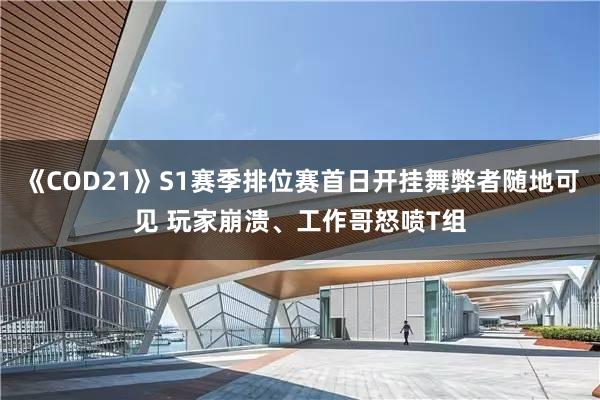 《COD21》S1赛季排位赛首日开挂舞弊者随地可见 玩家崩溃、工作哥怒喷T组