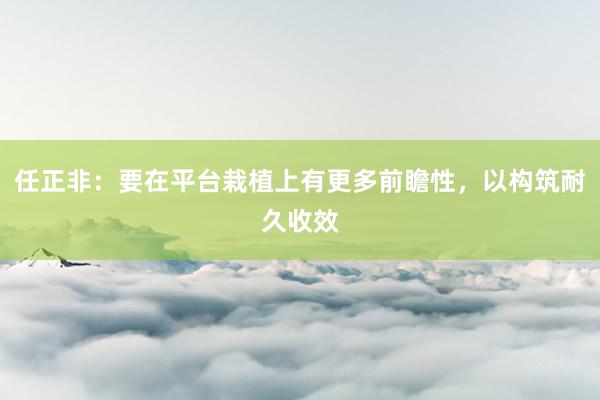 任正非：要在平台栽植上有更多前瞻性，以构筑耐久收效