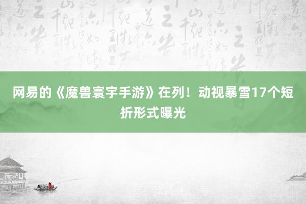 网易的《魔兽寰宇手游》在列！动视暴雪17个短折形式曝光