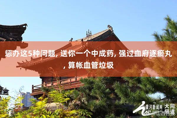 惩办这5种问题, 送你一个中成药, 强过血府逐瘀丸, 算帐血管垃圾
