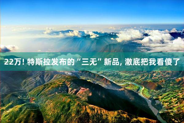 22万! 特斯拉发布的“三无”新品, 澈底把我看傻了