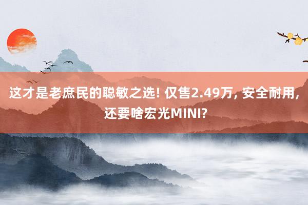 这才是老庶民的聪敏之选! 仅售2.49万, 安全耐用, 还要啥宏光MINI?