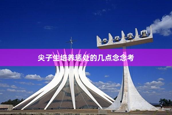 尖子生培养惩处的几点念念考